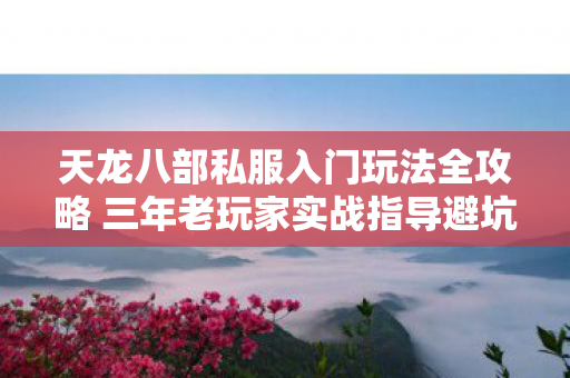 天龙八部私服入门玩法全攻略 三年老玩家实战指导避坑技巧图片