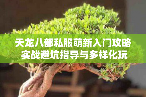 天龙八部私服萌新入门攻略 实战避坑指导与多样化玩法分享图片