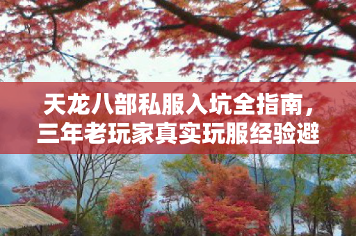 三年老玩家真实玩服经验避坑分享图片