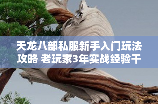 天龙八部私服新手入门玩法攻略 老玩家3年实战经验干货分享图片