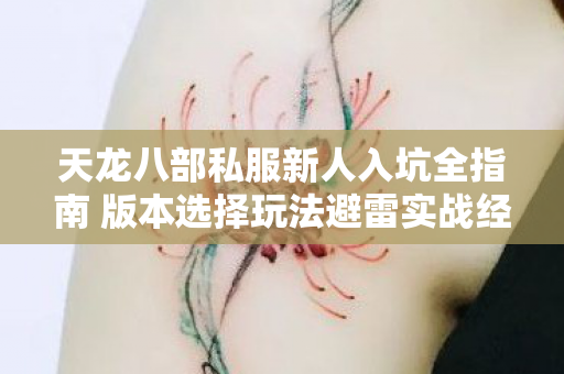 天龙八部私服新人入坑全指南 版本选择玩法避雷实战经验分享图片