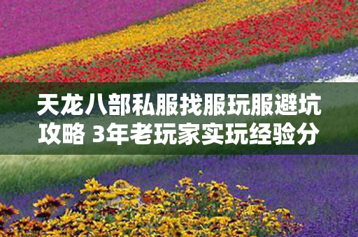 天龙八部私服找服玩服避坑攻略 3年老玩家实玩经验分享图片