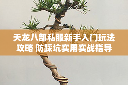 天龙八部私服新手入门玩法攻略 防踩坑实用实战指导分享图片