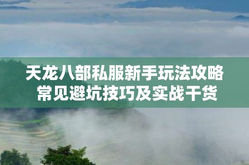 天龙八部私服新手玩法攻略 常见避坑技巧及实战干货分享图片