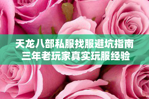 天龙八部私服找服避坑指南 三年老玩家真实玩服经验分享图片