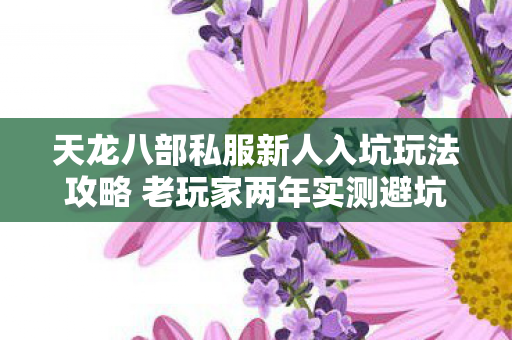 天龙八部私服新人入坑玩法攻略 老玩家两年实测避坑实战指导图片