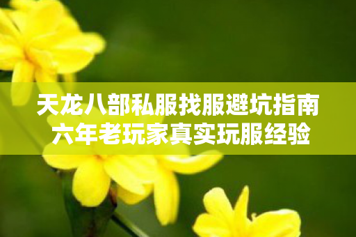 天龙八部私服找服避坑指南 六年老玩家真实玩服经验分享图片