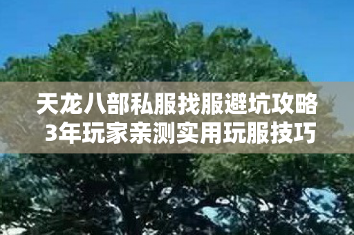 天龙八部私服找服避坑攻略 3年玩家亲测实用玩服技巧图片