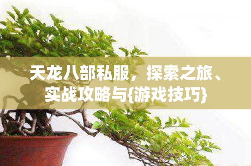 天龙八部私服图片