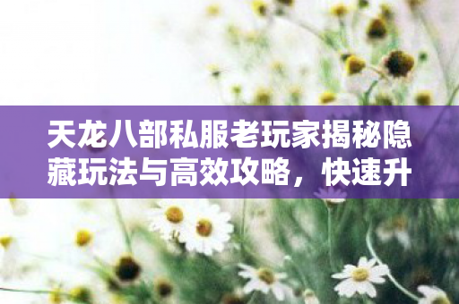 天龙八部私服老玩家揭秘隐藏玩法与高效攻略图片