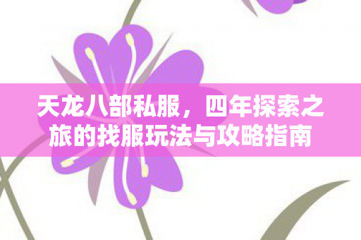四年探索之旅的找服玩法与攻略指南图片