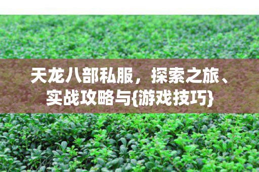 天龙八部私服图片