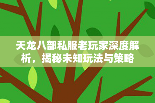 天龙八部私服老玩家深度解析图片