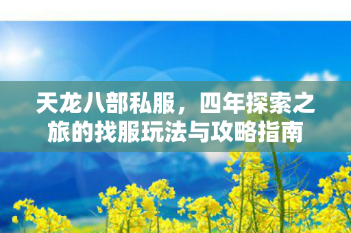 四年探索之旅的找服玩法与攻略指南图片