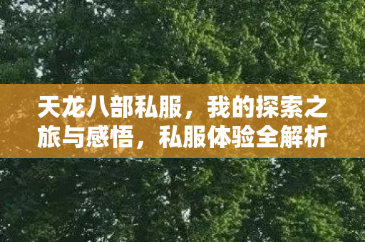 我的探索之旅与感悟图片