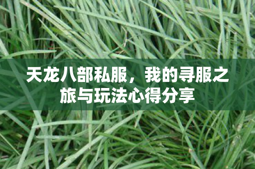 我的寻服之旅与玩法心得分享图片