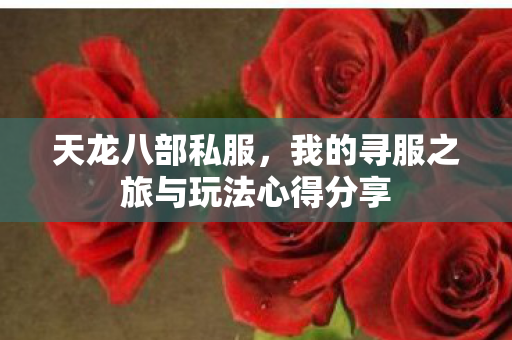 我的寻服之旅与玩法心得分享图片
