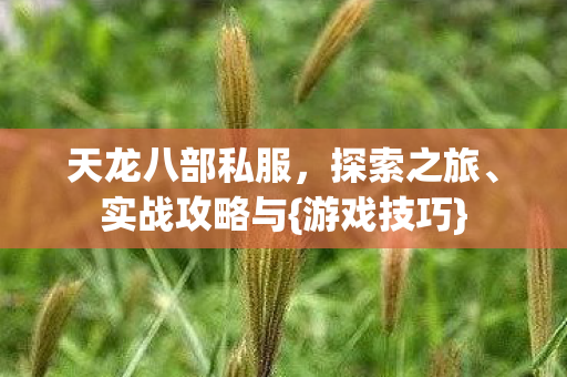 天龙八部私服图片