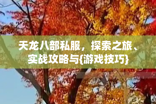 天龙八部私服图片