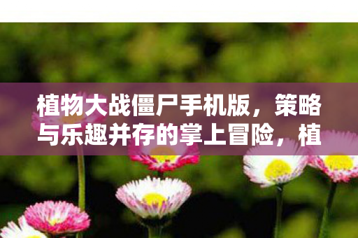 策略与乐趣并存的掌上冒险图片