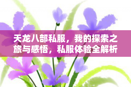 我的探索之旅与感悟图片