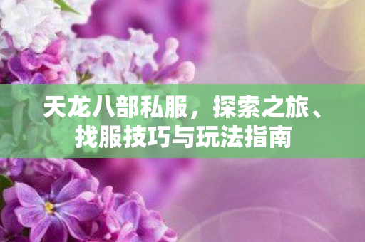 找服技巧与玩法指南图片