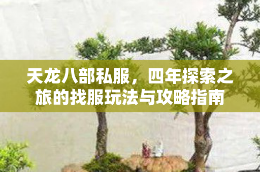 四年探索之旅的找服玩法与攻略指南图片