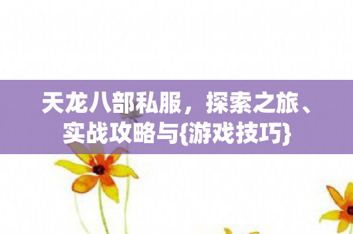 天龙八部私服图片