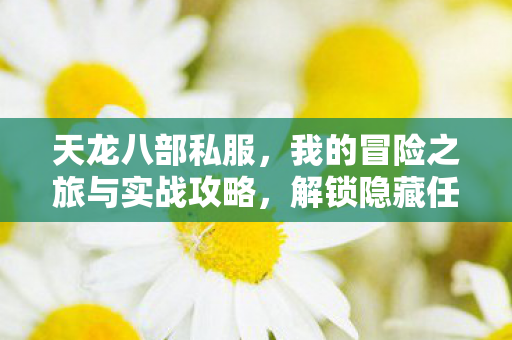 我的冒险之旅与实战攻略图片