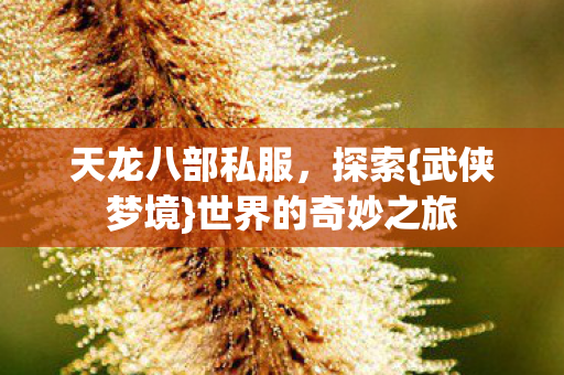 世界的奇妙之旅图片