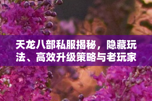 高效升级策略与老玩家心得图片