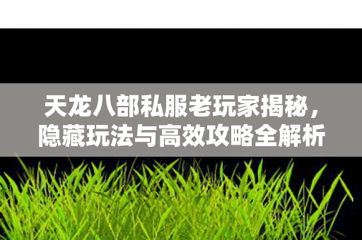 隐藏玩法与高效攻略全解析图片