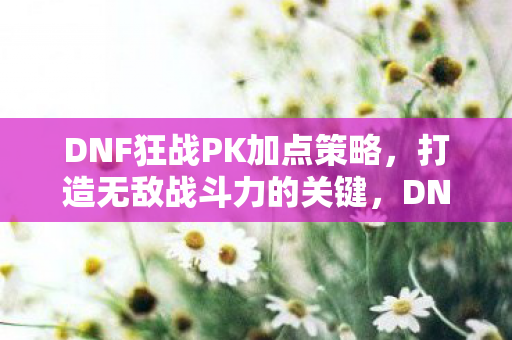 DNF狂战PK加点策略图片