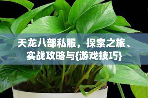 天龙八部私服图片