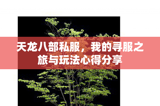 我的寻服之旅与玩法心得分享图片