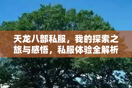 我的探索之旅与感悟图片