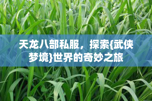 世界的奇妙之旅图片