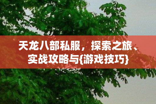 天龙八部私服图片