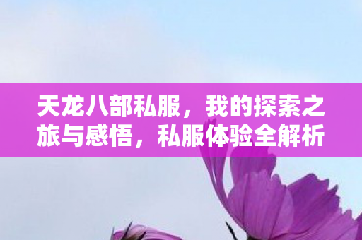 我的探索之旅与感悟图片