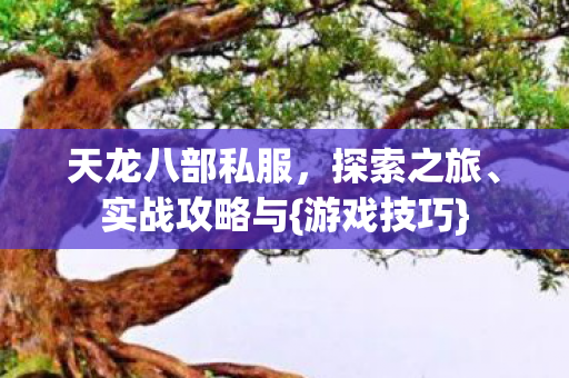 天龙八部私服图片