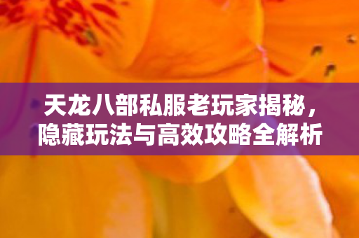 隐藏玩法与高效攻略全解析图片