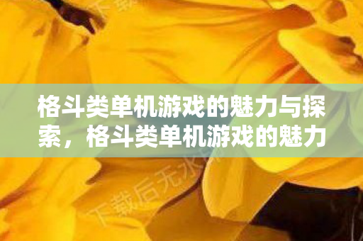 格斗类单机游戏的魅力与探索图片