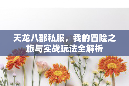 我的冒险之旅与实战玩法全解析图片