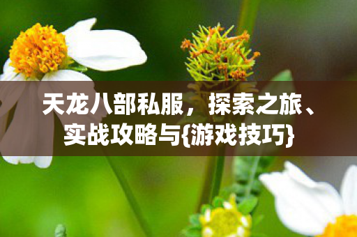 天龙八部私服图片