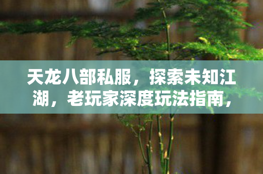 老玩家深度玩法指南图片