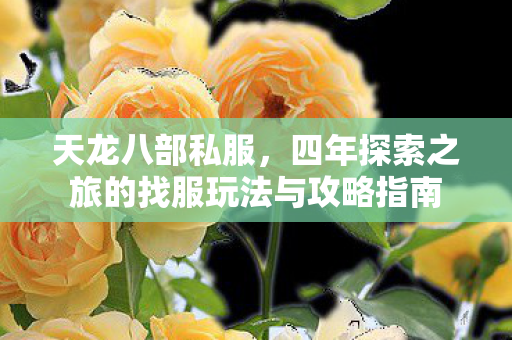 四年探索之旅的找服玩法与攻略指南图片
