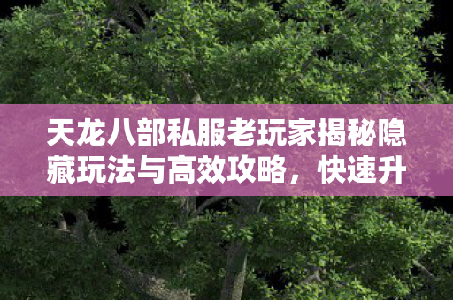 天龙八部私服老玩家揭秘隐藏玩法与高效攻略图片