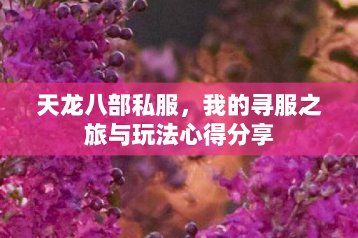 我的寻服之旅与玩法心得分享图片