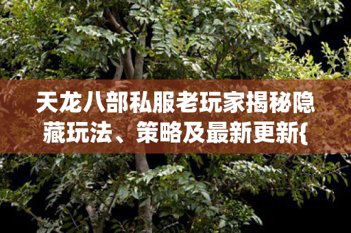 天龙八部私服老玩家揭秘隐藏玩法图片