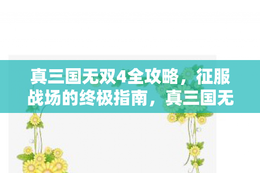 真三国无双4全攻略图片